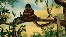 Kaa Mowgli GIF - Kaa Mowgli The Jungle Book GIFs