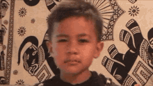 a young boy is standing in front of a tapestry with elephants on it .