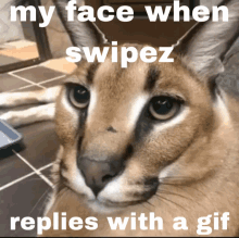 Swipez My Face When Swipez GIF - Swipez My Face When Swipez Replies With Gif GIFs