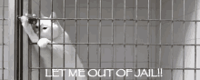 Let Me Out Of Jail!! GIF - Out Of Jail Let Me Out Of Jail Jail Break GIFs