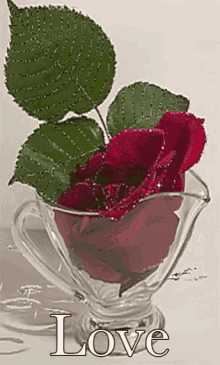 Rose Shimmering GIF