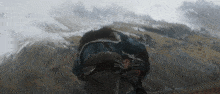 a man in a blue jacket is kneeling down in front of a mountain