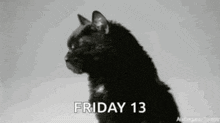 Friday Friday The 13th GIF - Friday Friday The 13th GIFs