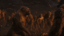 King Kong Mio GIF - King Kong Kong Mio GIFs