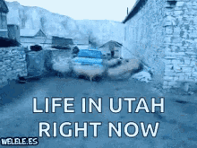 Sheep Utah GIF