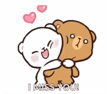 miss you bear i miss you hug