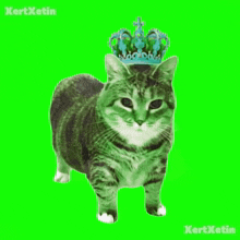 a cat with a blue crown on its head is on a green background