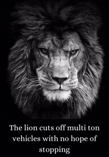 a black and white photo of a lion with a quote below it