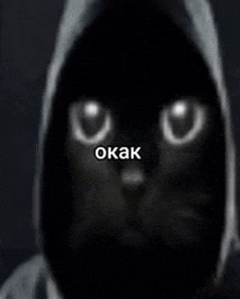 a close up of a black cat wearing a hoodie with glowing eyes .