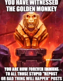 Golden Monkey GIF - Golden Monkey Monkeys GIFs