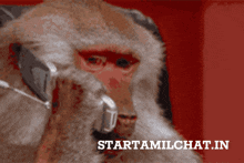 a picture of a monkey talking on a cell phone with the website starttamilchat.in in the corner