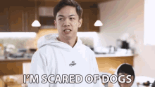 Im Scared Of Dogs Scared GIF - Im Scared Of Dogs Scared Dogs GIFs