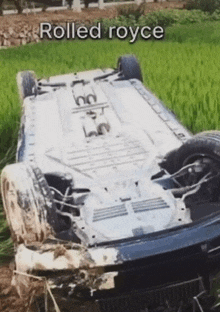 a rolled royce is in a field of grass