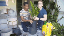 Planting Gardening GIF - Planting Gardening Potting GIFs