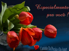 a greeting card with red flowers and the words especialment pra você