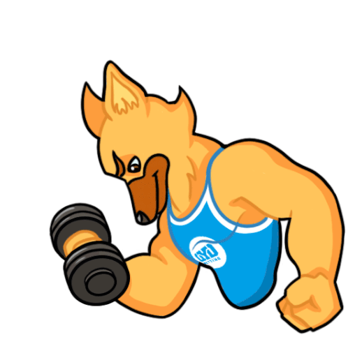 Toto Gym Sticker - Toto Gym Workout Stickers