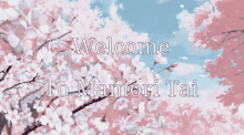 Welcome Mamori Tai GIF - Welcome Mamori Tai GIFs