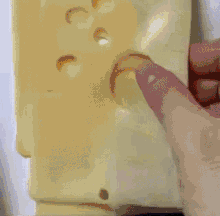 Cheese Ex GIF - Cheese Ex Theyre Not Worth It GIFs