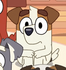 Jack Russell GIF - Jack Russell Shrug GIFs