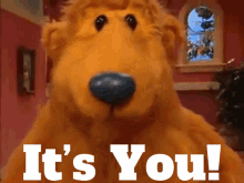 Bear In The Big Blue House Its You GIF