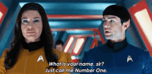 What Is Your Name Sir Just Call Me Number One GIF - What Is Your Name Sir Just Call Me Number One Spock GIFs