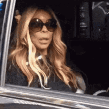wendy williams close car window how about no paparazzi fensterscheibe