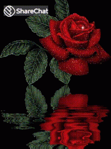 Rose Red Rose GIF - Rose Red Rose Glitter - Discover & Share GIFs