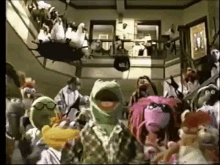 Gang Weekend Vibe GIF - Gang Weekend Vibe Kermit GIFs