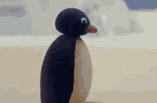 K00kbook Pingu GIF - K00kbook Pingu Confused GIFs
