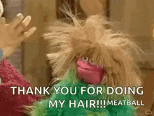 a stuffed animal is saying `` thank you for doing my hair ! meatball '' .