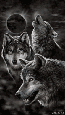 Wolf Howling Animation GIFs | Tenor