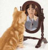a cat looking at itself in a mirror with a picture of a man on it
