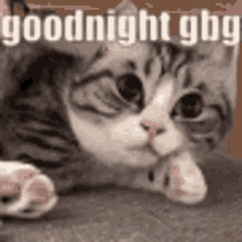 Good Night Gbg GIF - Good Night Gbg GIFs
