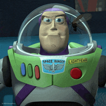 a toy story space ranger with a fly on his head