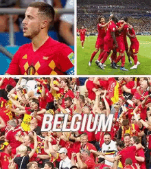 Belgium World Cup GIF - Belgium World Cup Fifa18 GIFs