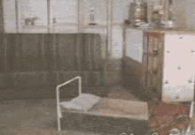 Dogs Animals GIF - Dogs Animals Bed GIFs