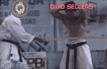 Quid Quidverse GIF - Quid Quidverse Quidika GIFs