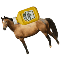 mustard horse
