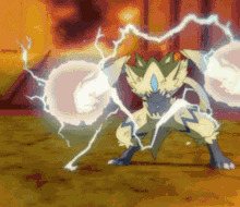 zeraora pokemon pokemon battle power lightning