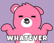 a pink teddy bear says whatever in white letters on a purple background