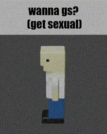 a picture of a minecraft character that says wanna gs get sexual