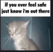 a picture of a kitten with the words if you ever feel safe just know i 'm out there