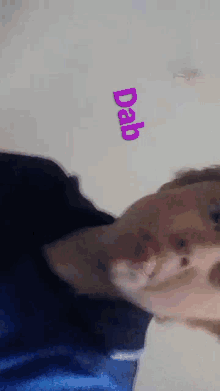 a man with a purple dab sticker on the wall