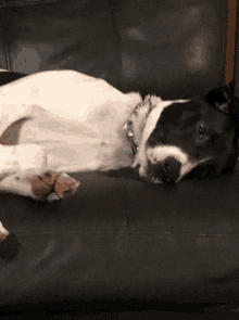Just Cant Lazy GIF - Just Cant Lazy Chill GIFs