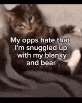 My Opps Hate That Im Snuggled Up With My Blanky And Bear GIF - My Opps Hate That Im Snuggled Up With My Blanky And Bear GIFs