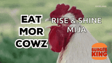 a rooster with the words eat rise & shine mija on its head