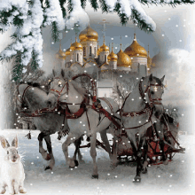 Merry Christmas Horse GIF - Merry Christmas Horse Palace GIFs