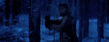 a man is holding a blue light saber in the woods .