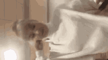 a woman in a white shirt is talking on a cell phone while standing in a room .