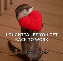 I Love You Otter GIF - I Love You Otter Love You GIFs